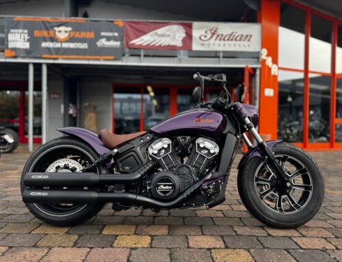 256 (Mädchenmopped)