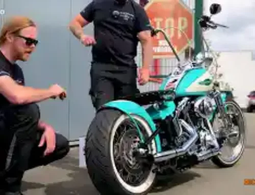 Bike – Farm | Absolute Harley Springer Party – Idiale Basis für ein Chopper oder Bobber ??