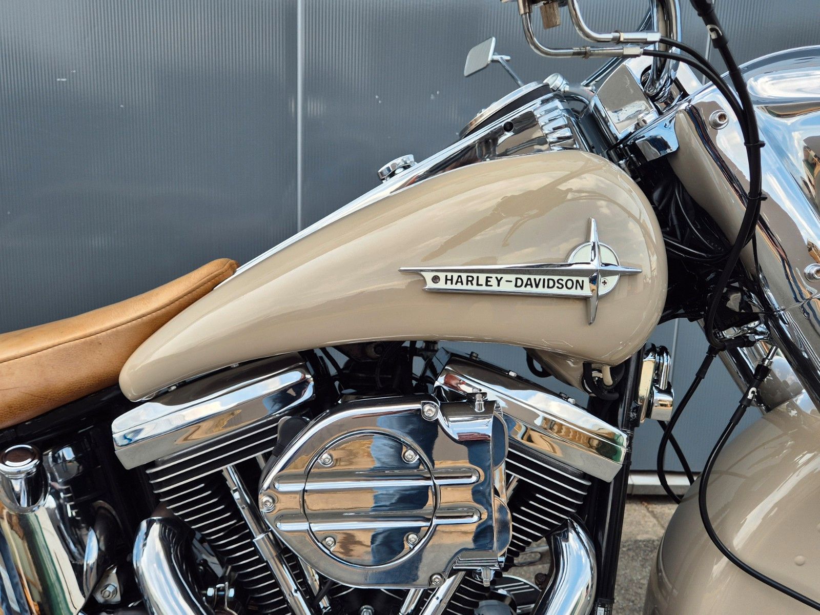 Fahrzeugabbildung Harley-Davidson FLSTC°°MEXICAN SOFTAIL°°-EVO-KESS TECH-*TOP*