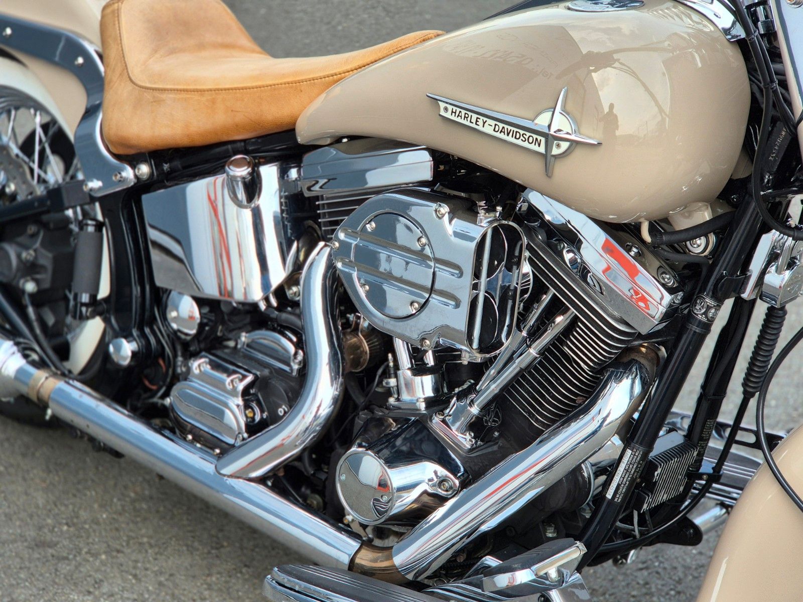 Fahrzeugabbildung Harley-Davidson FLSTC°°MEXICAN SOFTAIL°°-EVO-KESS TECH-*TOP*