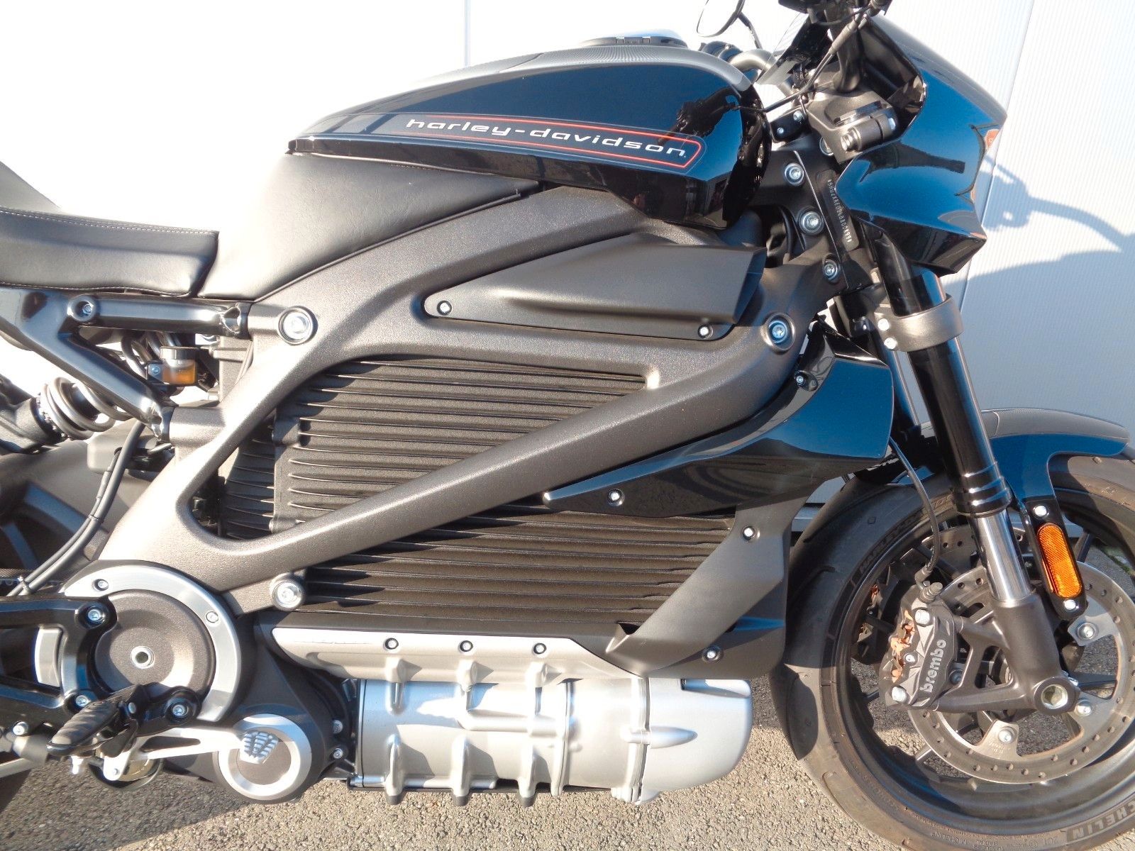 Fahrzeugabbildung Harley-Davidson ELW °°LiveWire°° - BIKE FARM CUSTOM -