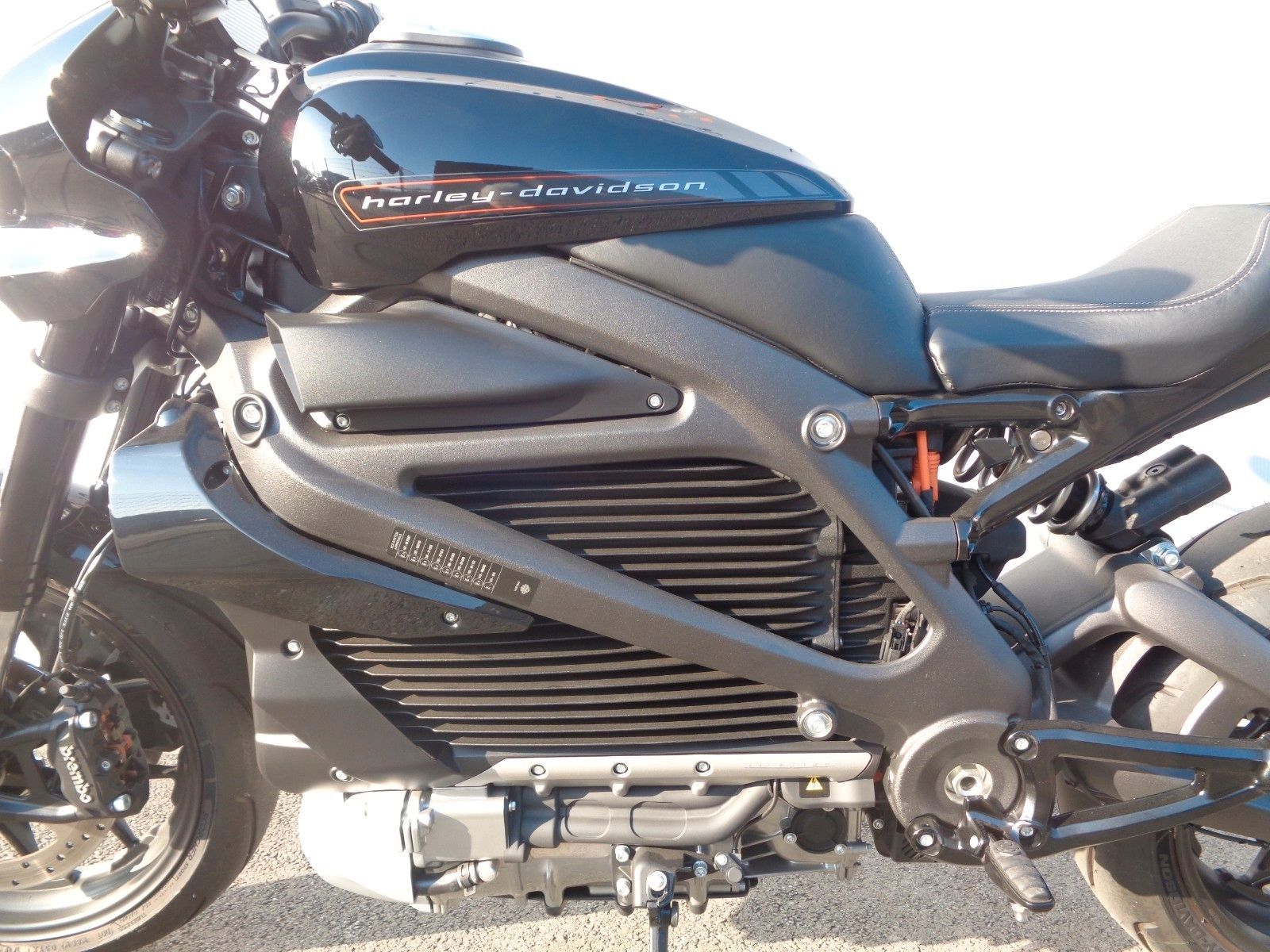 Fahrzeugabbildung Harley-Davidson ELW °°LiveWire°° - BIKE FARM CUSTOM -