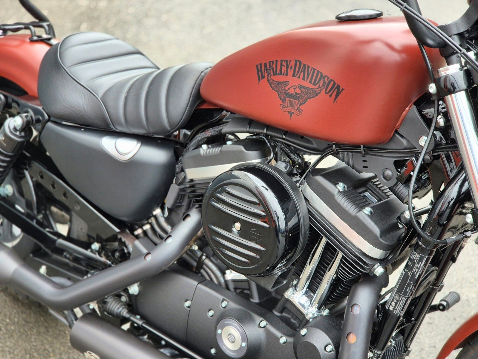 Fahrzeugabbildung Harley-Davidson XL883 N °°SPORTSTER IRON°° - JEKILL&HYDE -