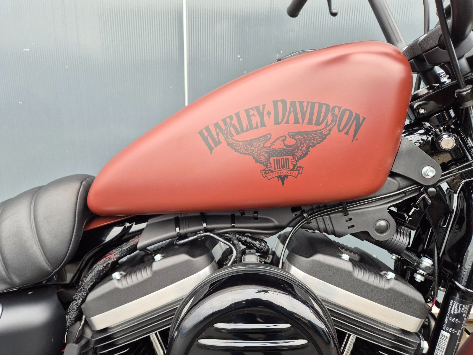 Fahrzeugabbildung Harley-Davidson XL883 N °°SPORTSTER IRON°° - JEKILL&HYDE -