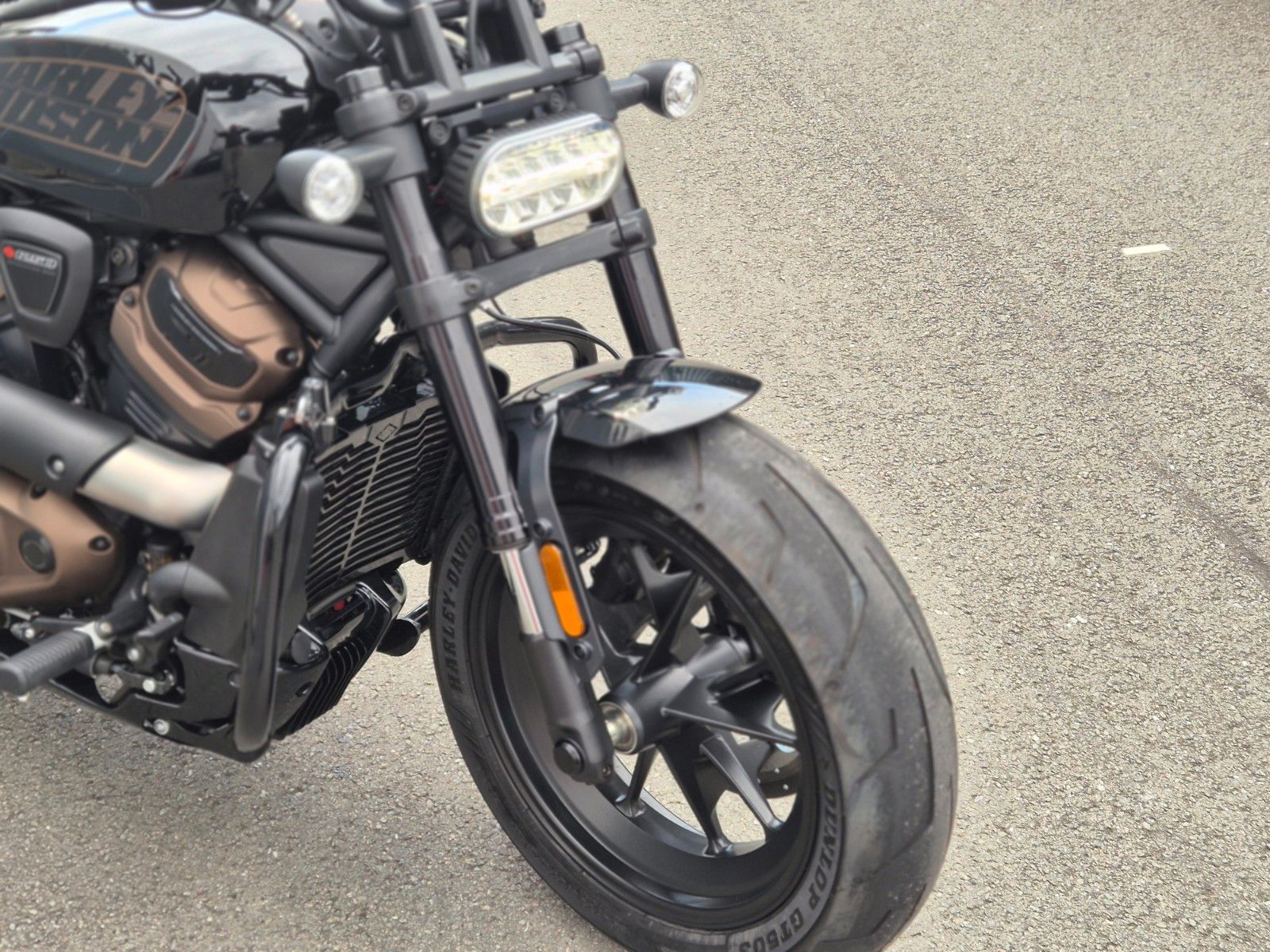 Fahrzeugabbildung Harley-Davidson RH1250S - °°SPORTSTER S°° - #RACING BOBBER#