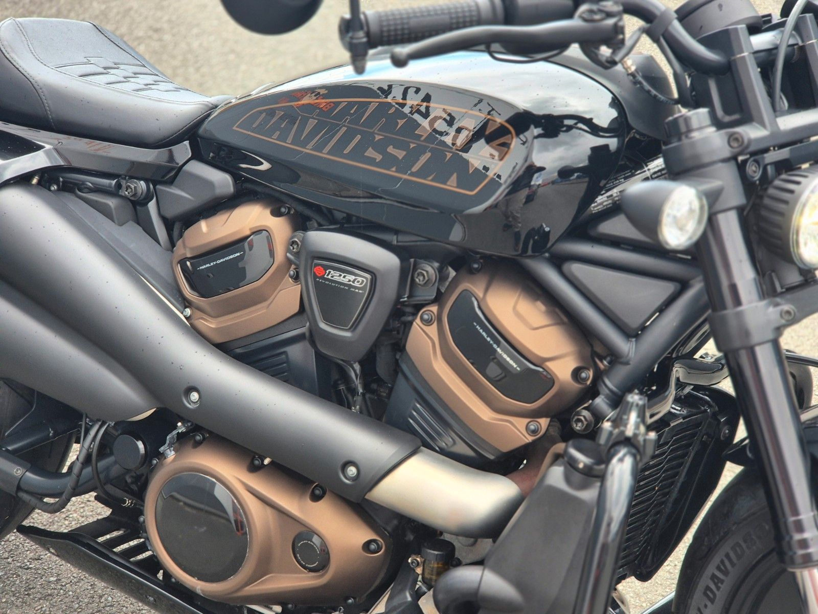 Fahrzeugabbildung Harley-Davidson RH1250S - °°SPORTSTER S°° - #RACING BOBBER#
