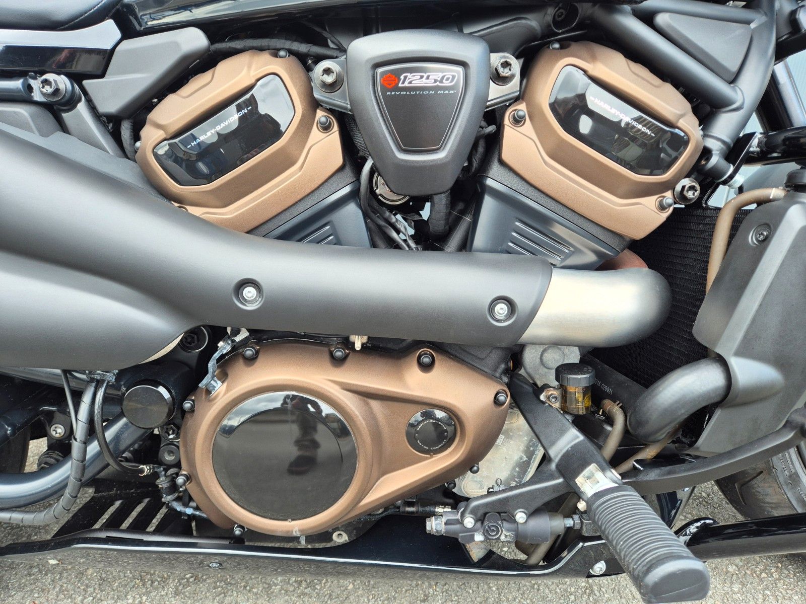 Fahrzeugabbildung Harley-Davidson RH1250S - °°SPORTSTER S°° - #RACING BOBBER#