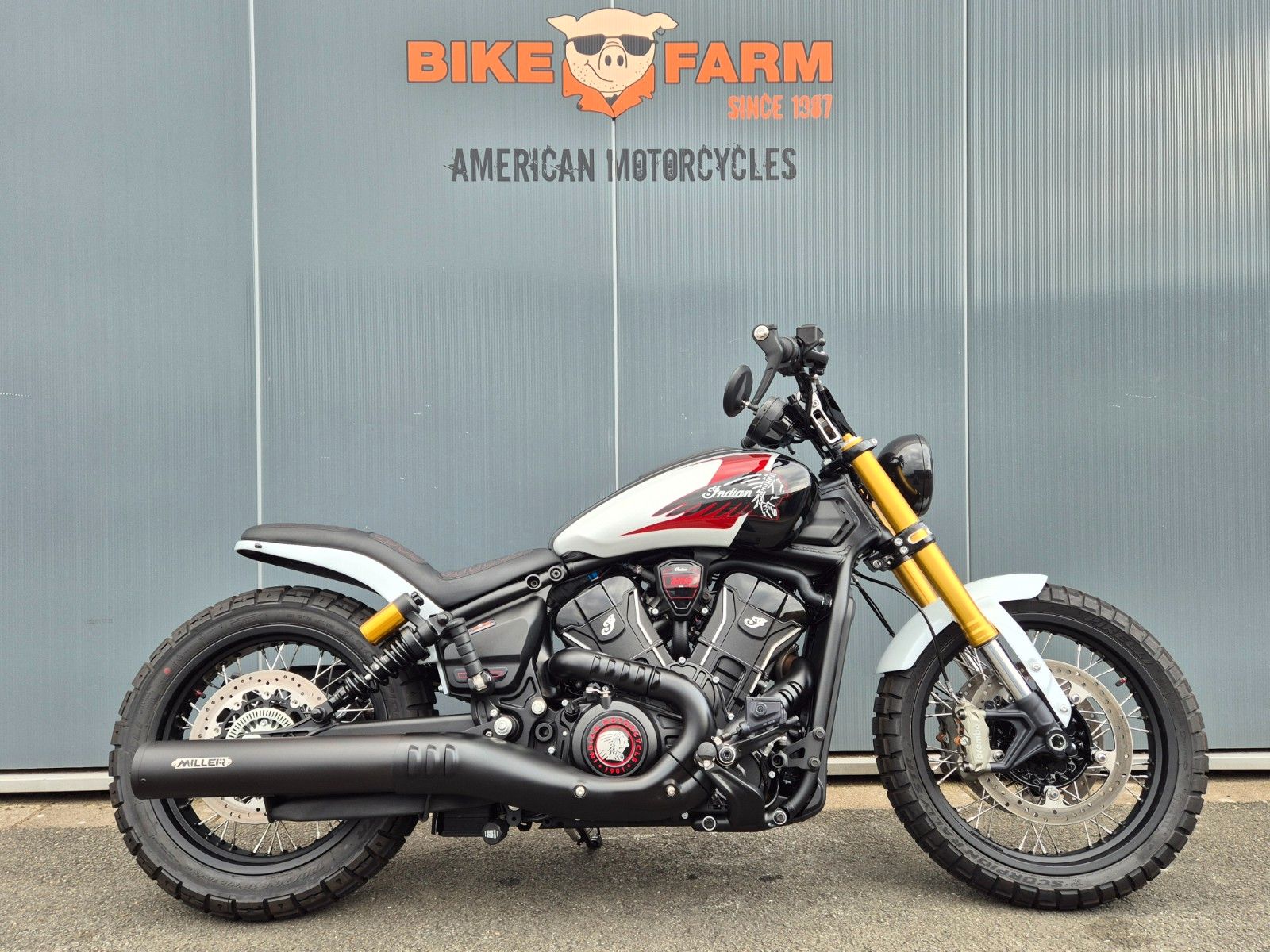 Indian SCOUT 101 °°SCRAMBLER°° - BEACH SURFER -
