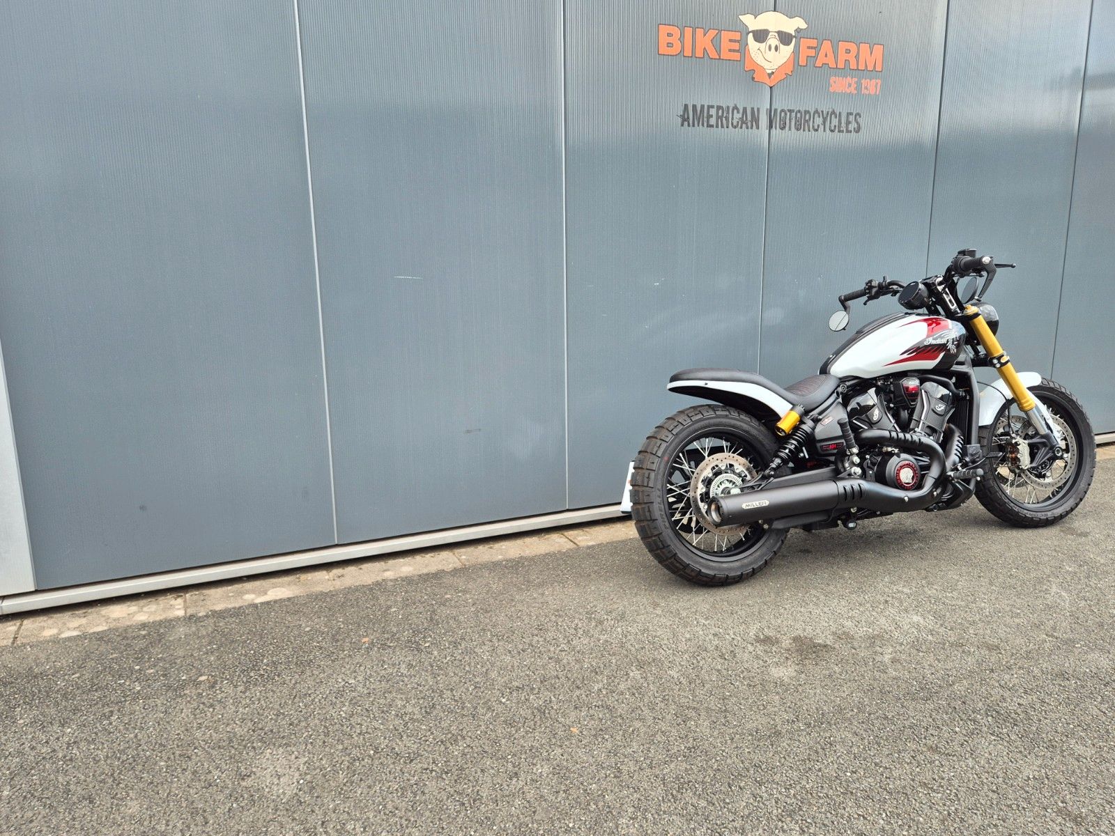 Fahrzeugabbildung Indian SCOUT 101 °°SCRAMBLER°° - BEACH SURFER -