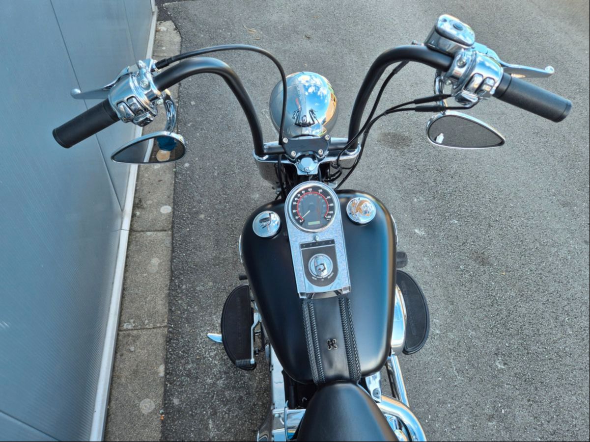 Fahrzeugabbildung Harley-Davidson FLSTF °°FAT BOY MEXICAN LOW STYLE°° -PENZL-